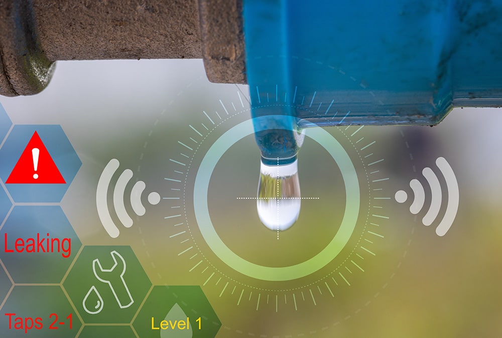 Real-Time Leak Detection and Prevention